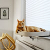 Ebi Fensterbankkorb Kyo White