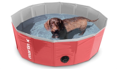 Martin Dog Pool Rot