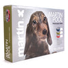 Martin Hundepool blau
