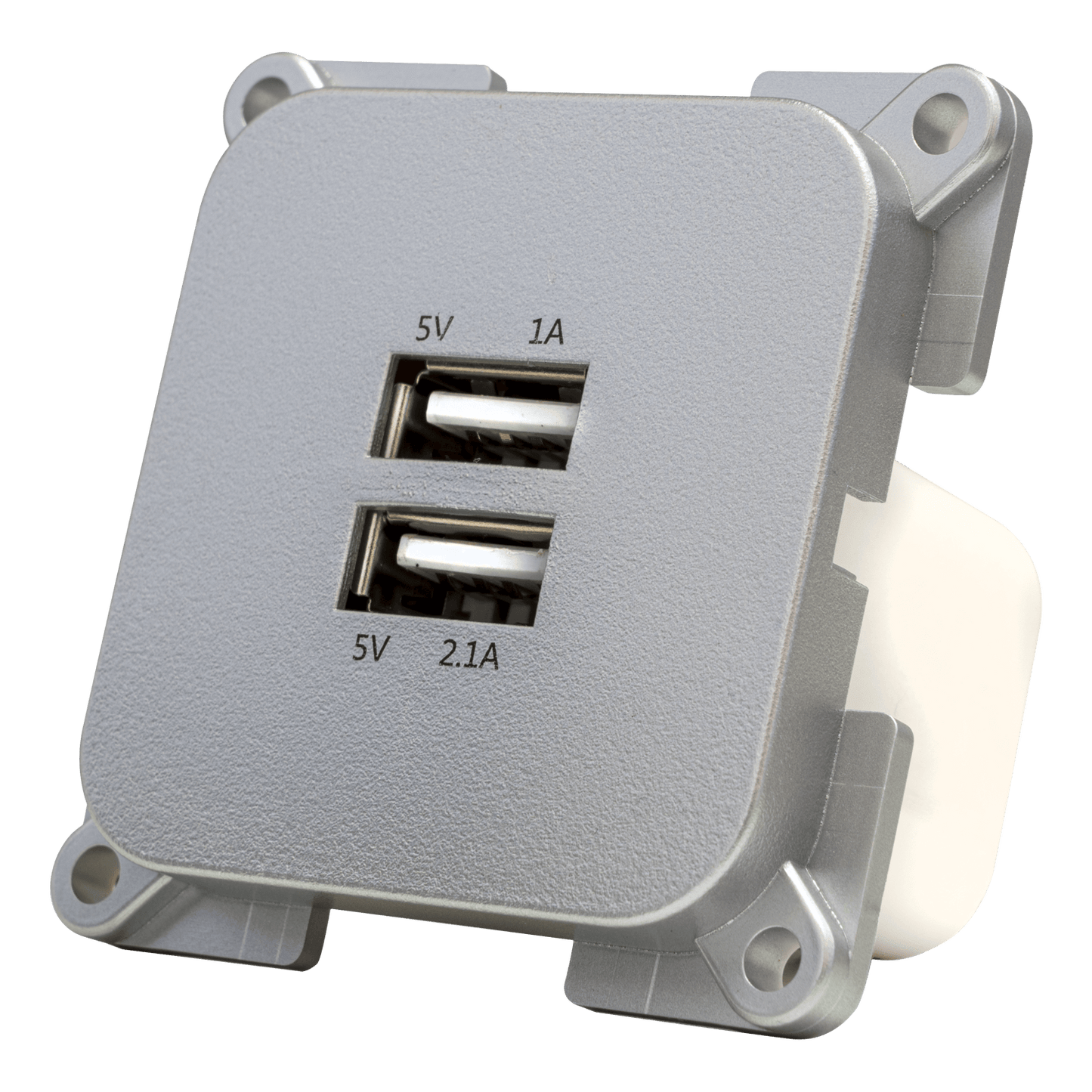 C-Line-Wandsteckdose mit doppeltem USB-A-Ladegerät silber
