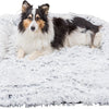 Trixie -Sofa Bett Harvey Möbelschutz Angular Weiß Schwarz