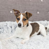 Trixie -Sofa Bett Harvey Möbelschutz Angular Weiß Schwarz