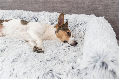 Trixie -Sofa Bett Harvey Möbelschutz Angular Weiß Schwarz