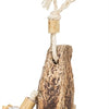 Trixie Nature Spielzeug Mahonie Schelpen