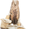 Trixie Nature Spielzeug Mahonie Schelpen