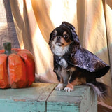 Croci Dog Cape Tricky Ghost - afbeelding 4