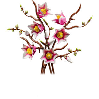 Lego Botanicals 11510 Magnolienzweige