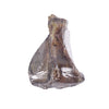 Petsnack p sein Schulterblatt