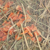 Ausgezeichnete Gewürzheu Karotte und Echinacea