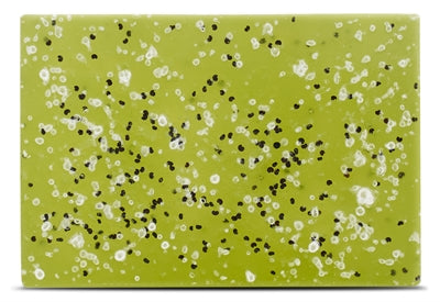 Geliebte Bugfree Pet Shampoo Bar