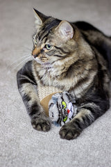 Rosewood Moody Moggy Crab Toys Karton - afbeelding 2