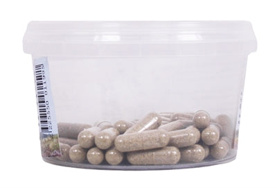 Tierische Drogist -Echinacea -Bio -Kapseln