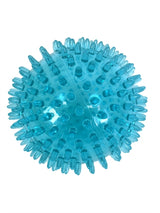 Zolux Pop TPR Stekelbal Turquoise - afbeelding 1