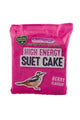Suet, um Energieblockbeeren zu machen