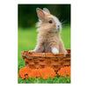Minipuzzle schöne Tiere - 54 Teile.