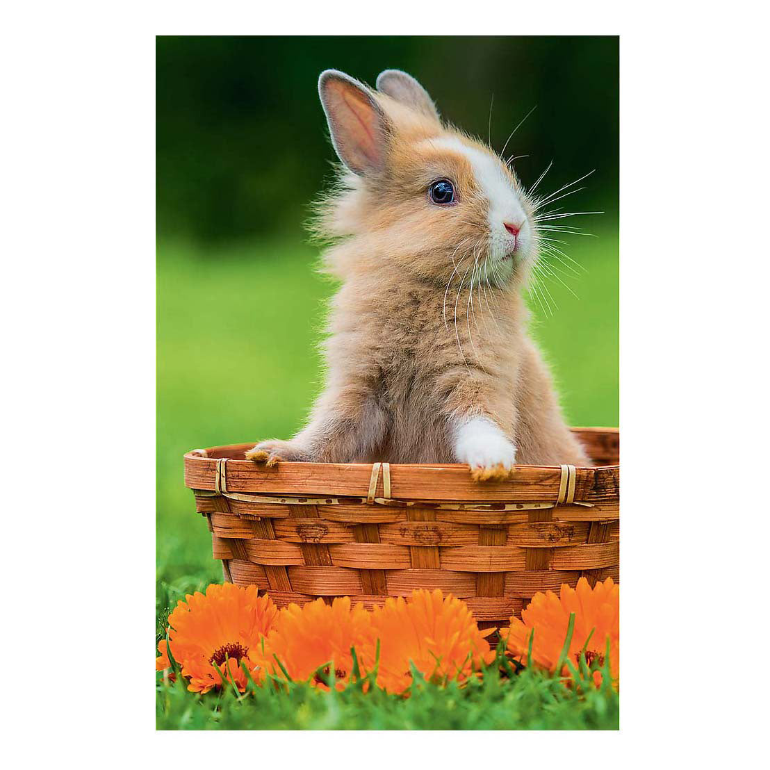 Minipuzzle schöne Tiere - 54 Teile.