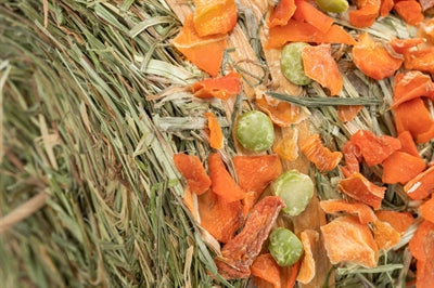 Trixie Haypendel Peas Root zum Aufhängen