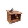 Utopia Vogel Feeding House verbrannt Douglas Wood