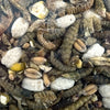 Utopia strooivoos mit Insekten