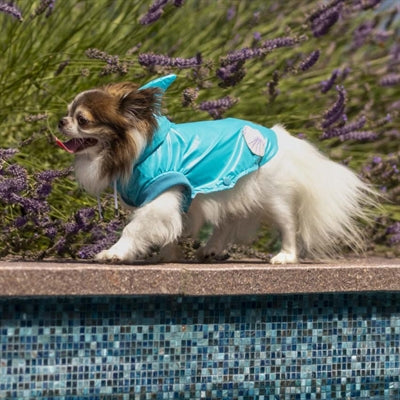 Croci Regenmantelhunde Hai hellblau