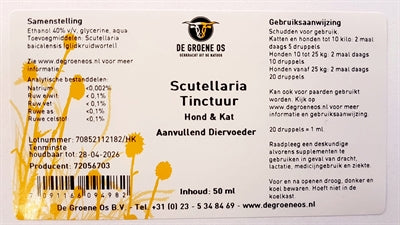 Grüne Os Scutellaria Tinkturkatze