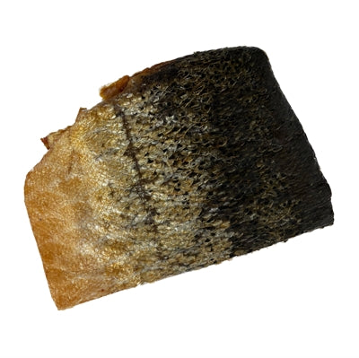 Freds Lachs Hauthaut barkstastischer Hund Snack