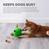 Außenhundhund Snuffle n 'Treat Ball Green