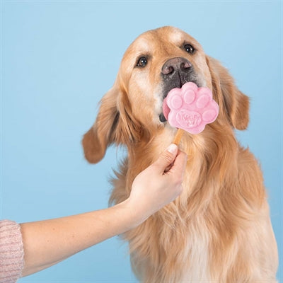 Smoofl Smoofl Eiscreme-Mix für Hunde Erdbeere