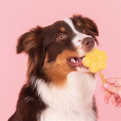 Smoofl Smoofl Eiscreme-Mix für Hunde Apfel
