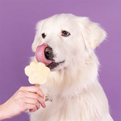Smoofl Smoofl Eiscreme-Mix für Hunde Banane