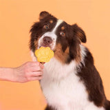 Smoofl Smoofl Eiscreme-Mix für Hunde Mango - afbeelding 4