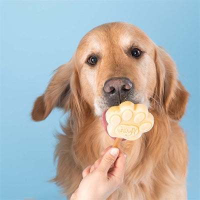 Smoofl Smoofl Eiscreme-Mix für Hunde Erdnussbutter