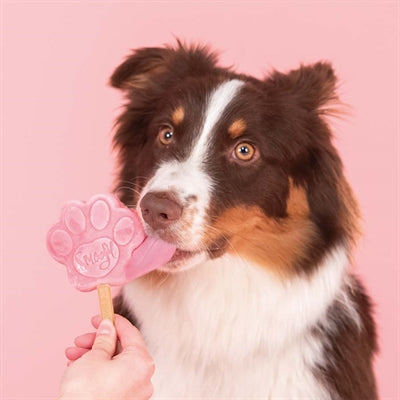 Smoofl Smoofl Eiscreme-Mix für Hunde Wassermelone