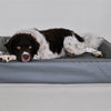 BIA -Bett künstlicher Lederdeckel Hundekorb grau