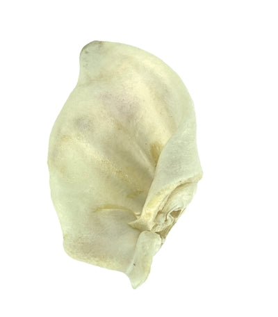 Petsnack P geschlagen werden