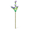 Max Ziegel Blumen Rosen Assorti