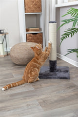 Trixie Kratzer nach Batres Platingrau - afbeelding 4