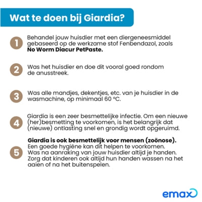 Exil kein Wurm Diacur Giardiatest