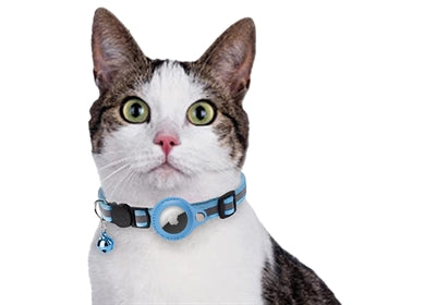 Croci -Kragenkatze mit Etiketthalter hellblau