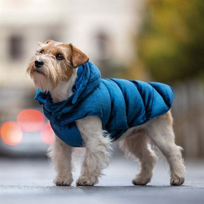 Croci Hundemantel Velveteen Blau ausgekleidet