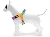 Morso mini Hund härter einstellbar recycelter Federblüte - afbeelding 2