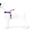 Morso norwegischer Hundernte recycelter süßer Tweet Pink