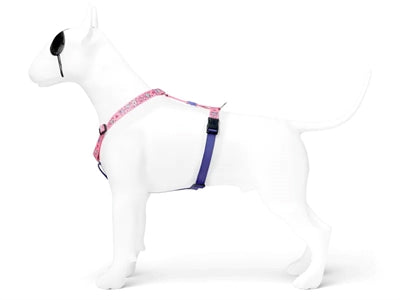 Morso Hund Haren H-Her recycelte süßer Tweet Pink
