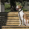 Morso Hund Leine recycelte Vollmetallhund Brown