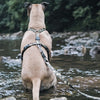 Morso Hundekabelbaum H-Hher recycelte Vollmetallhund Brown