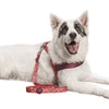 Morso Hund Leine recycelte rosa denken rosa