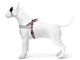 Morso Norweger Hund härter recycelte Skyline Rotrosa - afbeelding 1