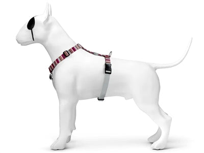 Morso Hund Haren H-Her recycelte Skyline Rotrosa