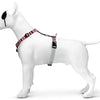 Morso Hund Haren H-Her recycelte Skyline Rotrosa