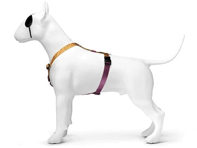 Morso Hundekabelbaum h-h-Her recycelte Dschungeltrommel Oranje